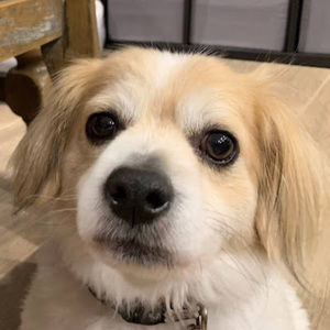 Meet your Posher, Candice